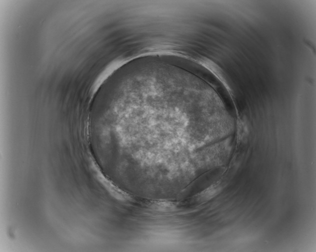 X0000098201101200805221535