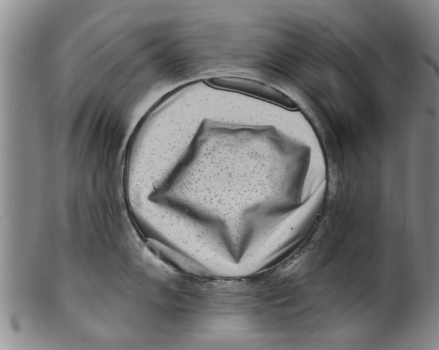 X0000098201102200805221535
