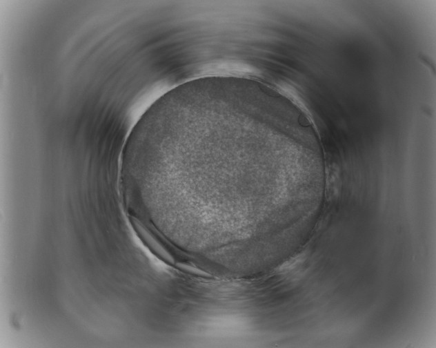 X0000098201103200805221535