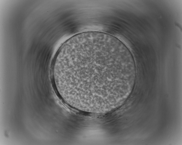 X0000098201104200805221535