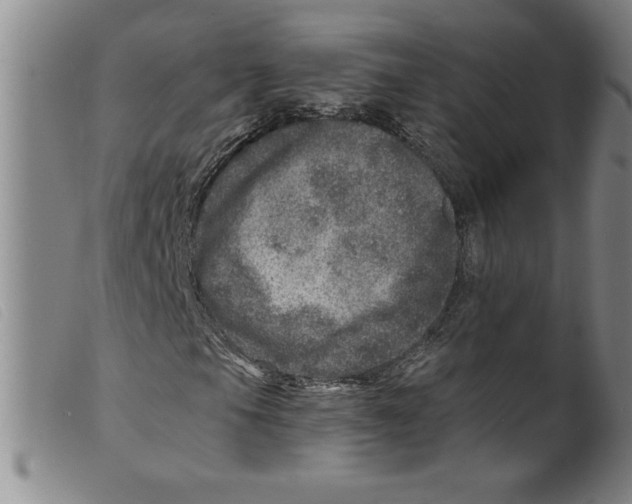 X0000098201105200805221535