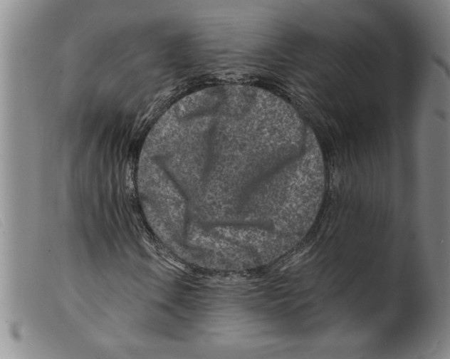 X0000098201106200805221535