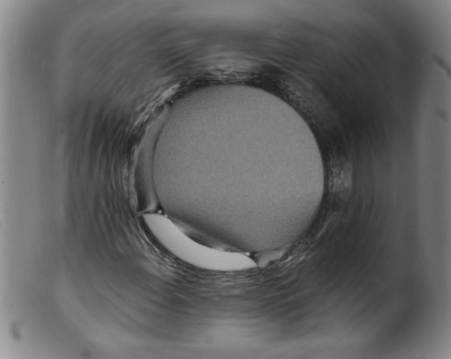 X0000098201108200805221535