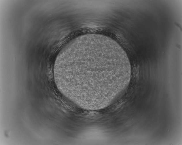 X0000098201109200805221535