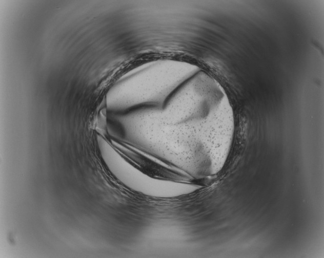 X0000098201110200805221535