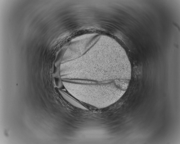 X0000098201111200805221535