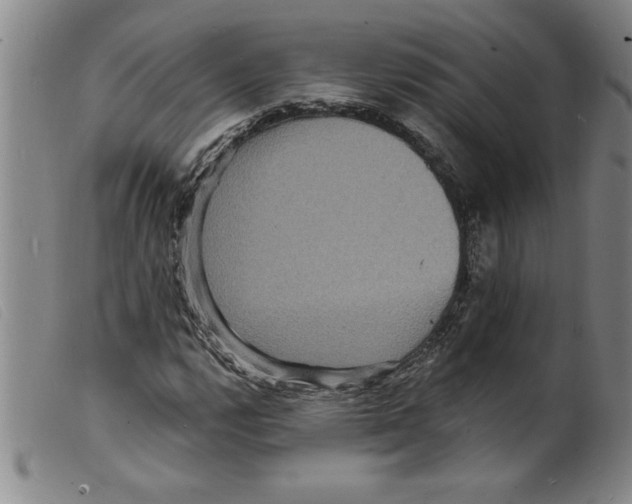 X0000098201112200805221535