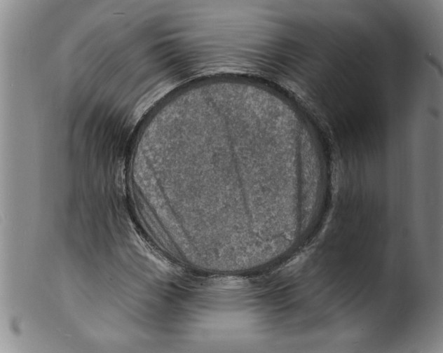 X0000098201113200805221535