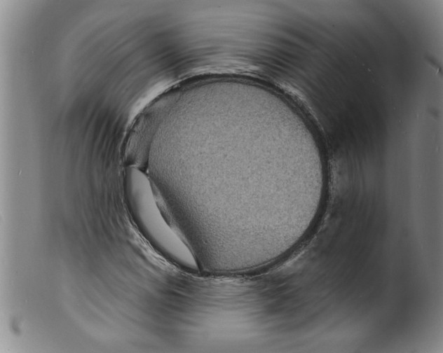 X0000098201114200805221535