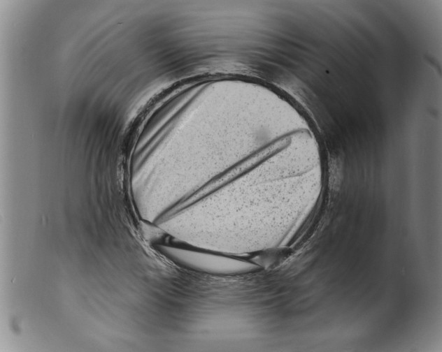 X0000098201115200805221535