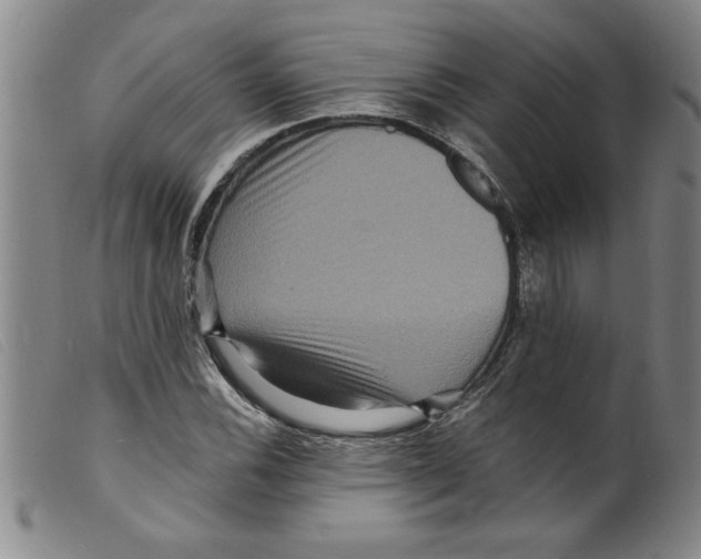 X0000098201116200805221535