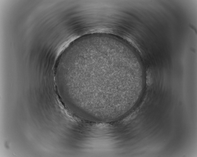 X0000098201117200805221535