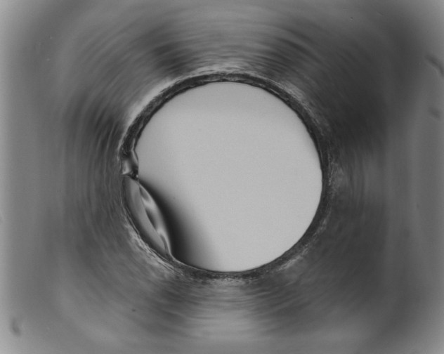 X0000098201118200805221535