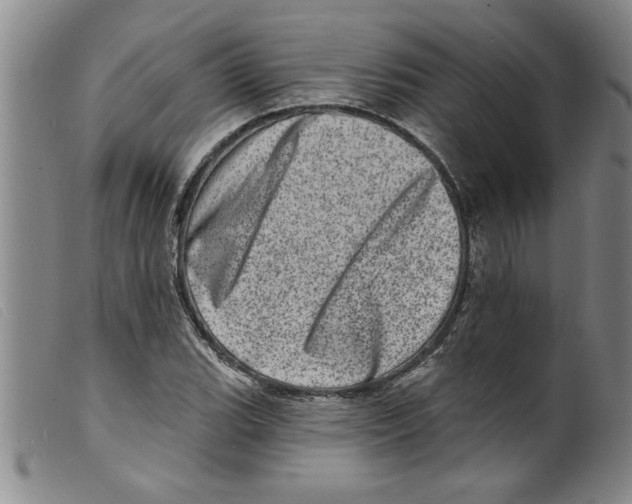 X0000098201119200805221535