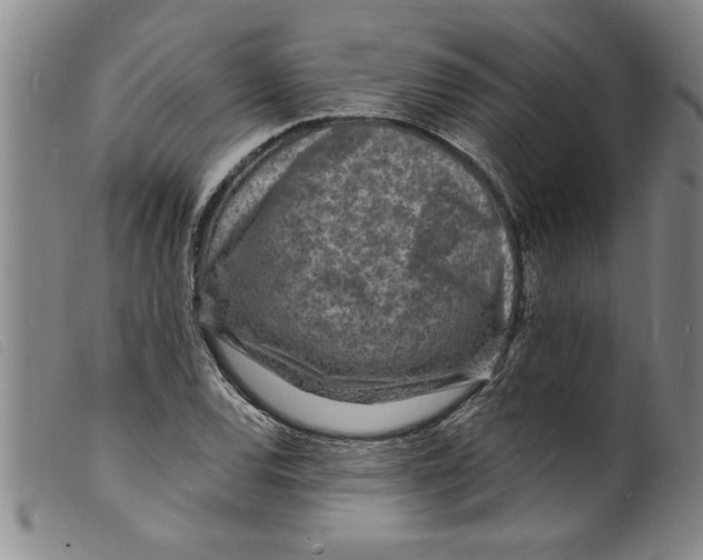 X0000098201120200805221535