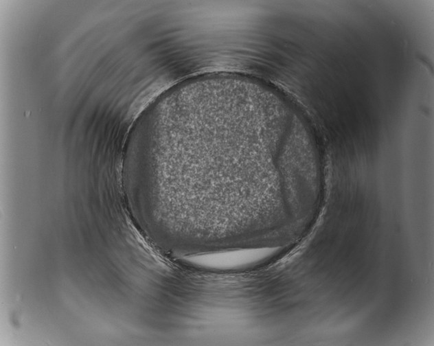 X0000098201121200805221535