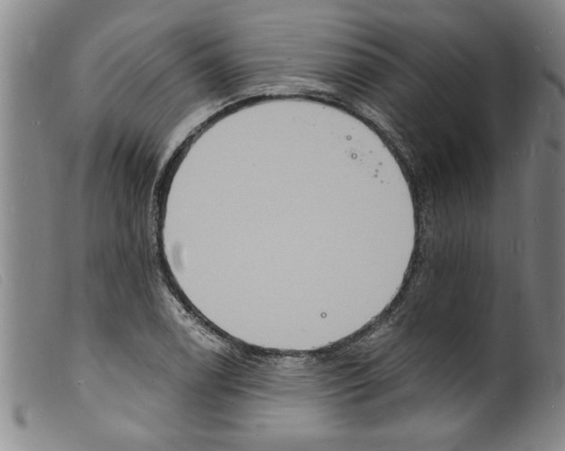 X0000098201122200805221535