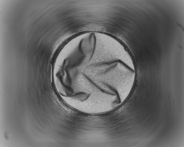 X0000098201123200805221535