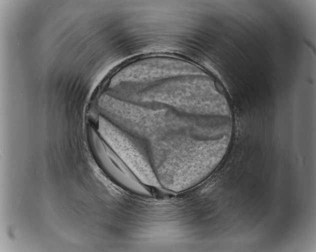 X0000098201124200805221535