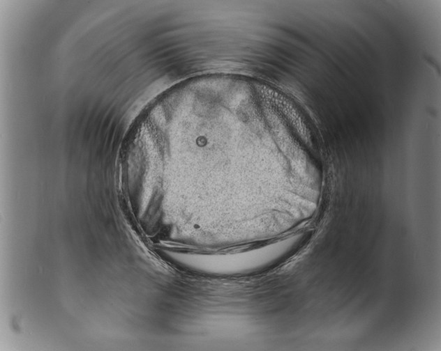 X0000098201125200805221535