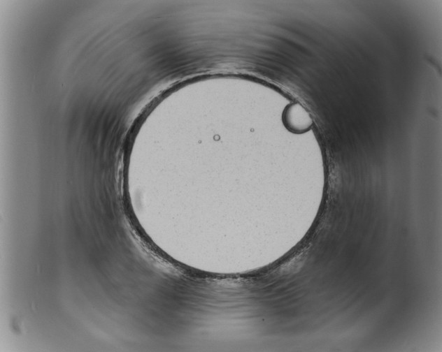 X0000098201126200805221535