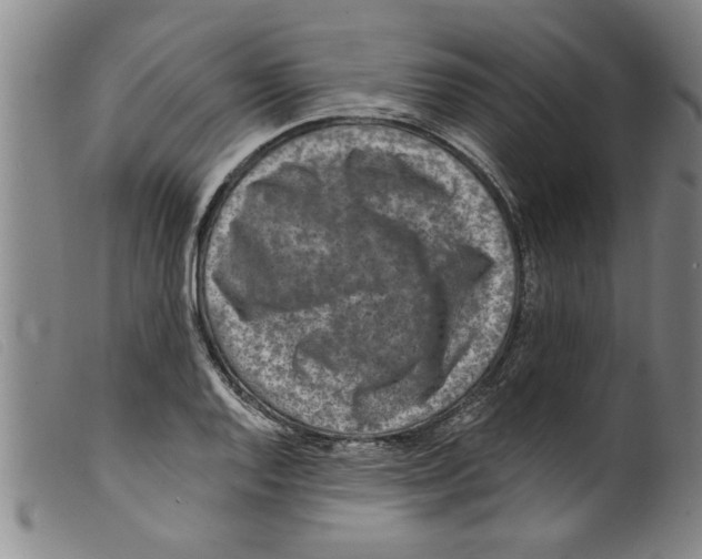 X0000098201128200805221535