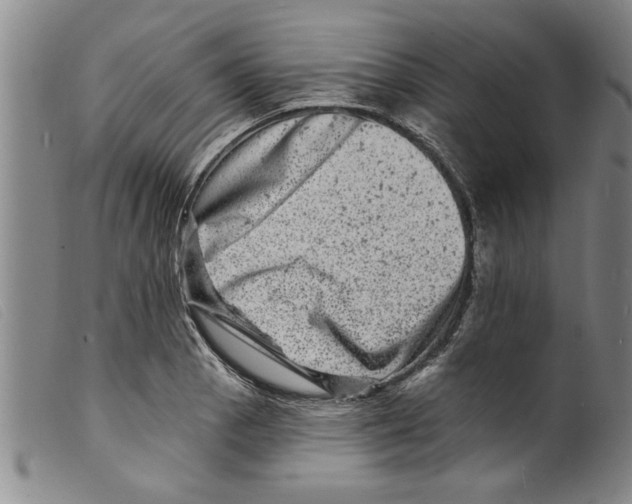 X0000098201129200805221535