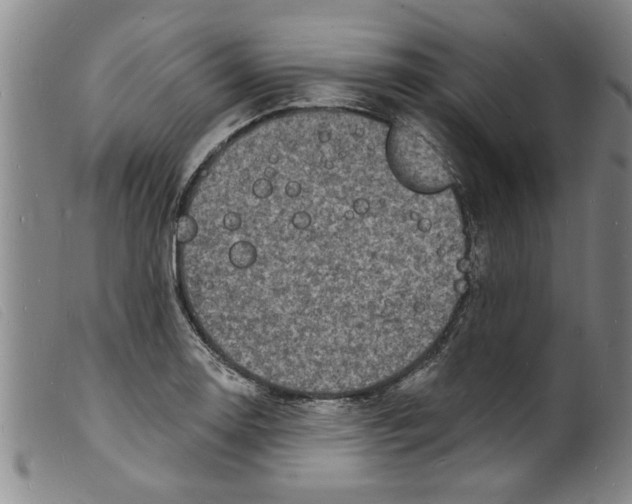 X0000098201130200805221535