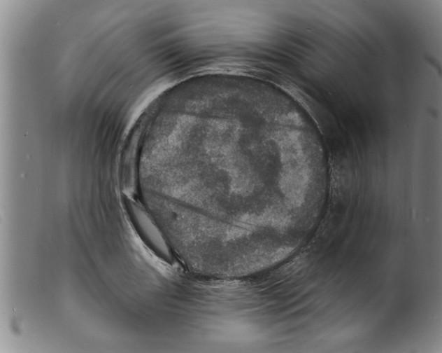 X0000098201131200805221535