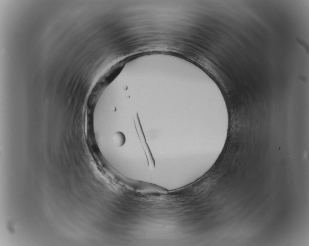 X0000098201132200805221535