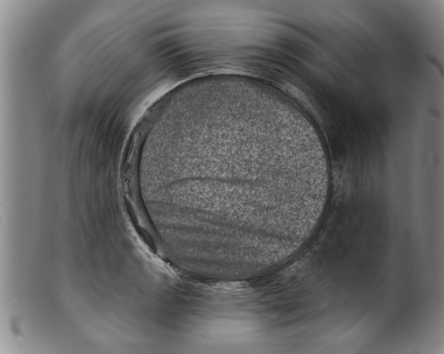 X0000098201133200805221535