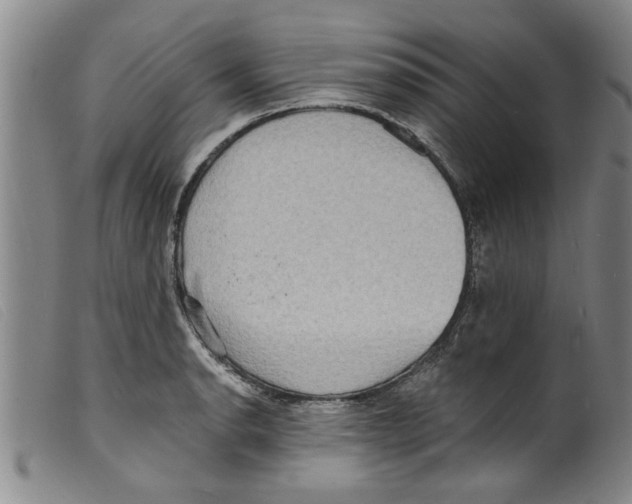 X0000098201134200805221535