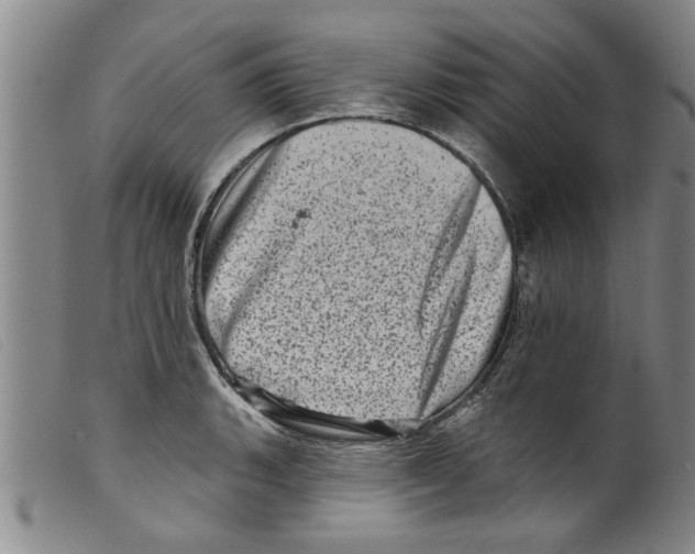 X0000098201135200805221535