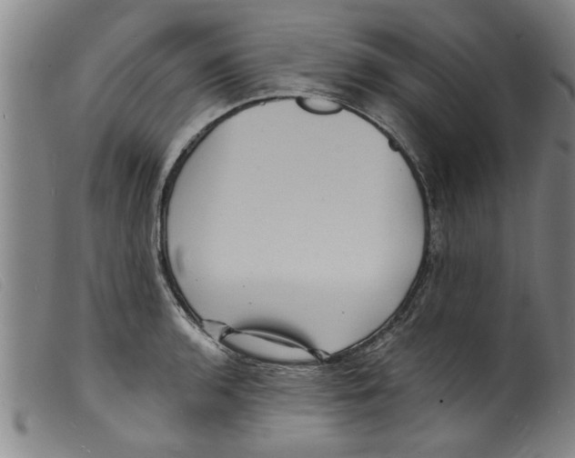 X0000098201136200805221535