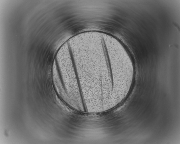 X0000098201137200805221535