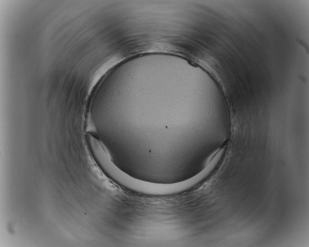 X0000098201138200805221535