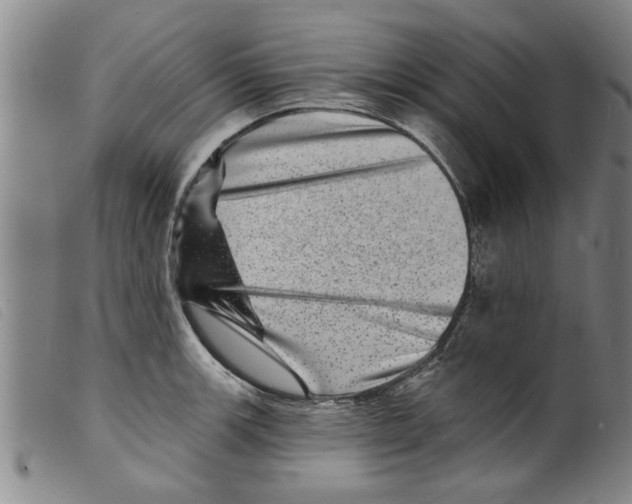 X0000098201139200805221535