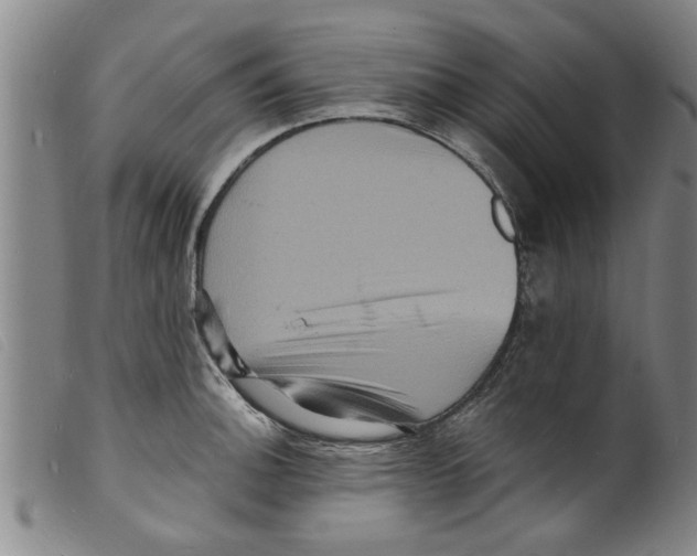 X0000098201140200805221535