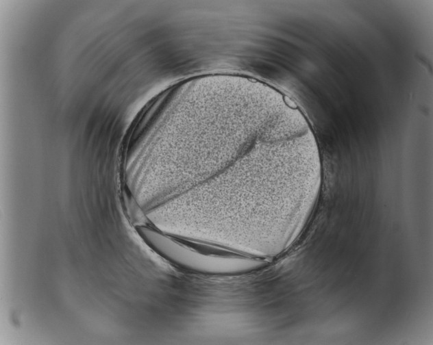 X0000098201142200805221535