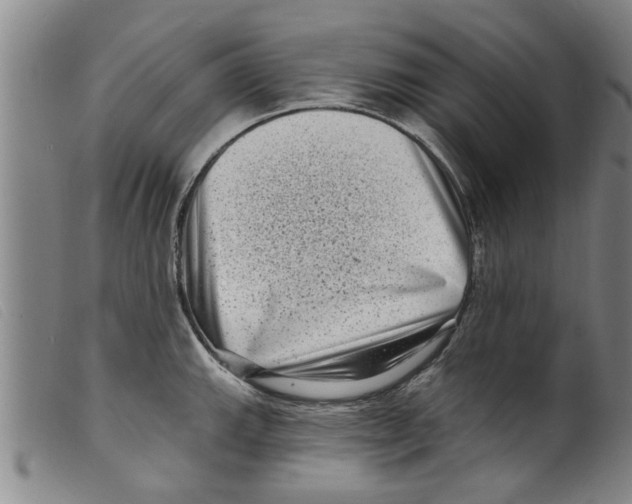 X0000098201143200805221535