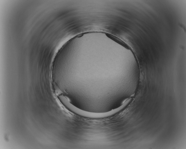 X0000098201144200805221535