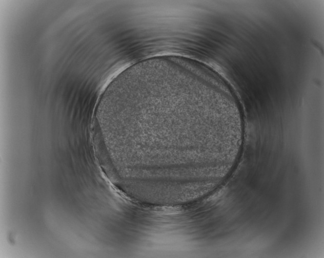 X0000098201145200805221535