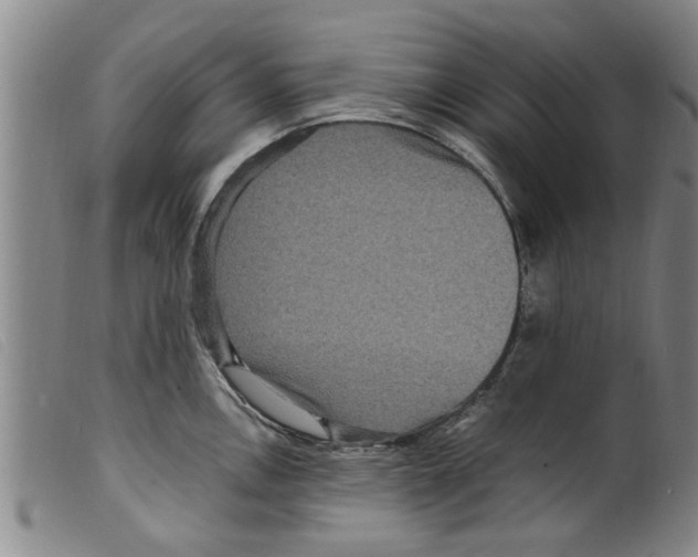 X0000098201146200805221535