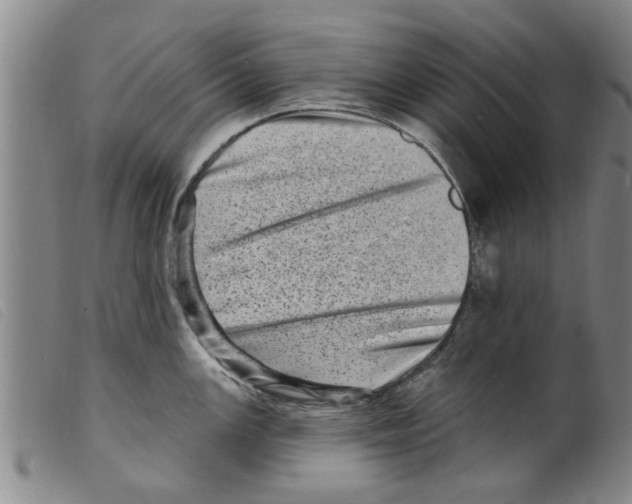 X0000098201147200805221535
