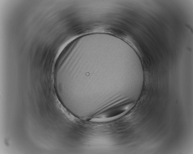 X0000098201148200805221535