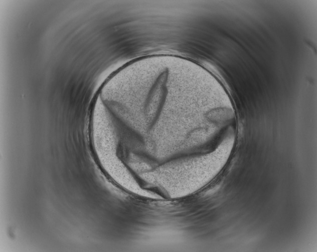 X0000098201149200805221535
