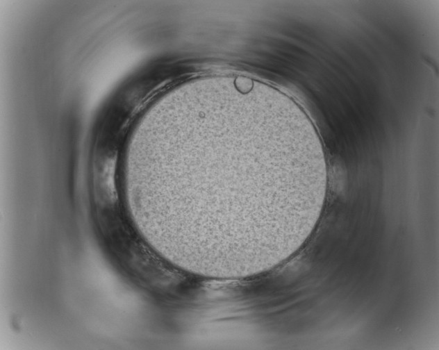 X0000098201150200805221535