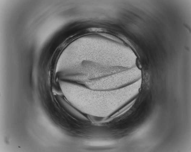 X0000098201151200805221535