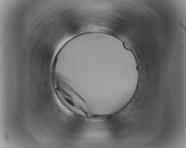 X0000098201152200805221535