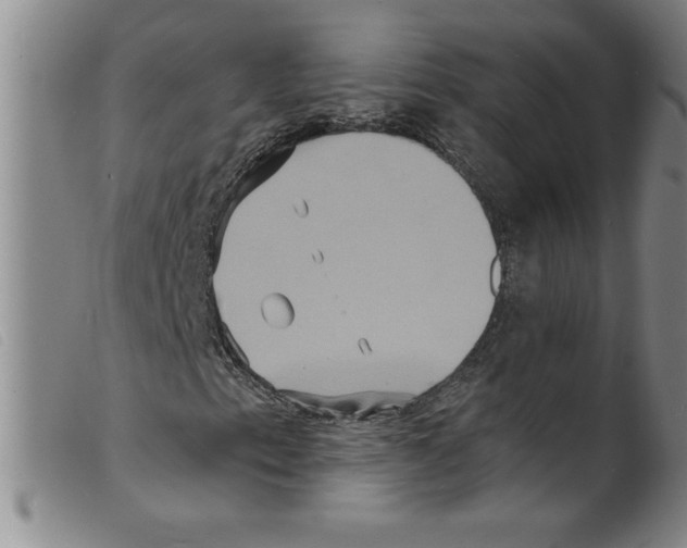 X0000098201153200805221535